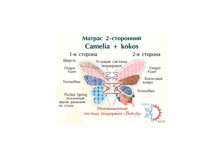 Ортопедический матрас Matro Butterfly CAMELIA+KOKOS / КАМЕЛИЯ+КОКОС 150х200 см 1293658326 фото